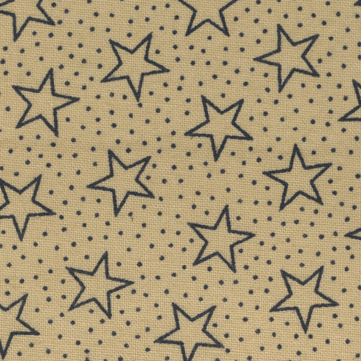 Patriotic Stars 108in Wide Back 1/2 yd